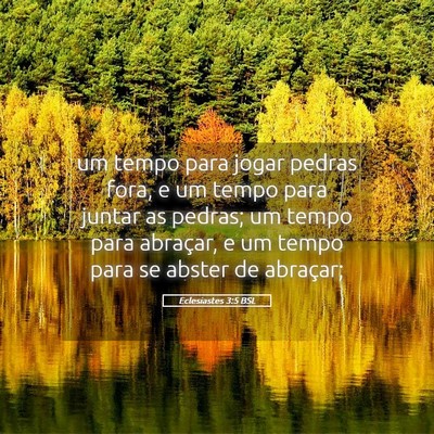 Picture 05 - Eclesiastes 3:5 BSL - um tempo para jogar pedras fora, e um tempo para - Bible Verse Picture