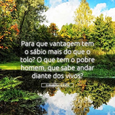Picture 05 - Eclesiastes 6:8 BSL - Para que vantagem tem o sábio mais do que o - Bible Verse Picture