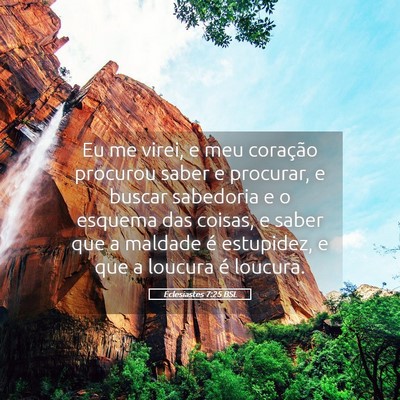 Picture 05 - Eclesiastes 7:25 BSL - Eu me virei, e meu coração procurou saber e - Bible Verse Picture