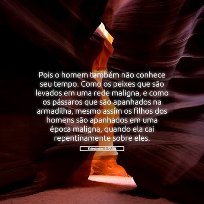 Picture 05 - Eclesiastes 9:12 BSL - Pois o homem também não conhece seu tempo. Como - Bible Verse Picture