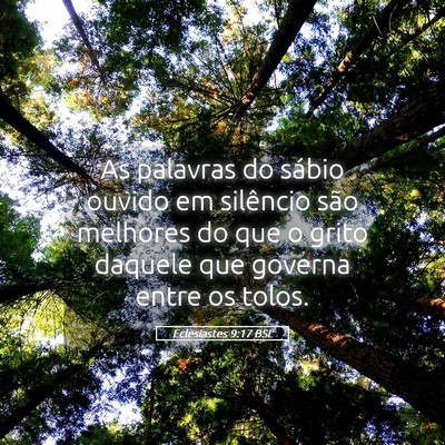 Picture 05 - Eclesiastes 9:17 BSL - As palavras do sábio ouvido em silêncio são - Bible Verse Picture