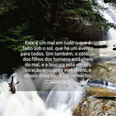 Picture 05 - Eclesiastes 9:3 BSL - Este é um mal em tudo o que é feito sob o sol, - Bible Verse Picture