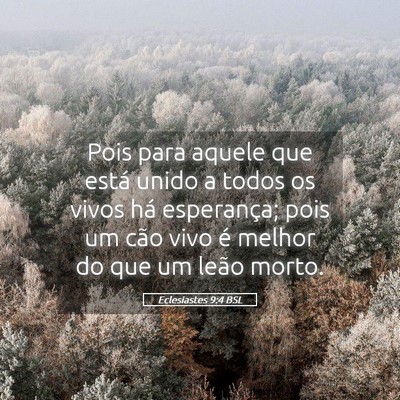 Picture 05 - Eclesiastes 9:4 BSL - Pois para aquele que está unido a todos os vivos - Bible Verse Picture