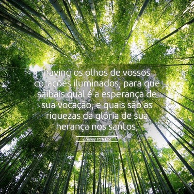 Picture 05 - Efésios 1:18 BSL - having os olhos de vossos corações iluminados, - Bible Verse Picture