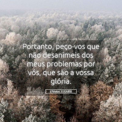 Picture 05 - Efésios 3:13 BSL - Portanto, peço-vos que não desanimeis dos meus - Bible Verse Picture