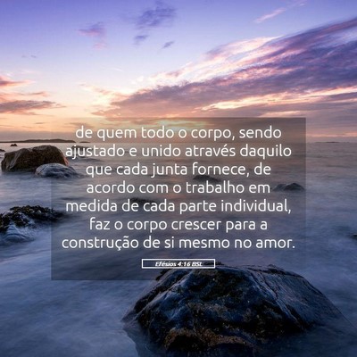Picture 05 - Efésios 4:16 BSL - de quem todo o corpo, sendo ajustado e unido - Bible Verse Picture