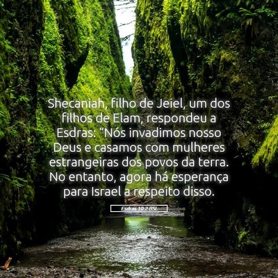 Picture 05 - Esdras 10:2 BSL - Shecaniah, filho de Jeiel, um dos filhos de Elam, - Bible Verse Picture