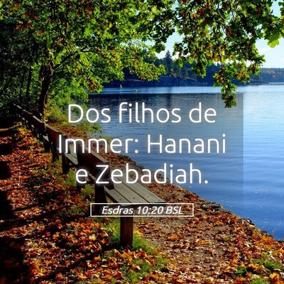 Picture 05 - Esdras 10:20 BSL - Dos filhos de Immer: Hanani e - Bible Verse Picture