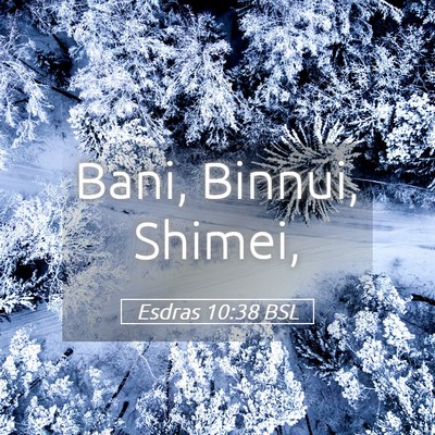 Picture 05 - Esdras 10:38 BSL - Bani, Binnui, - Bible Verse Picture