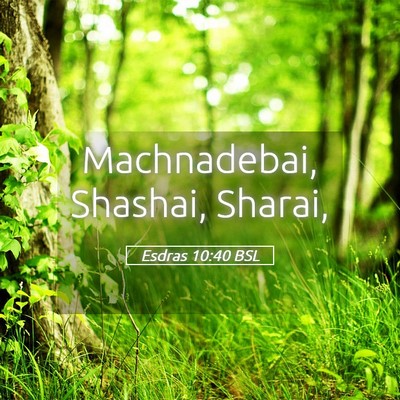 Picture 05 - Esdras 10:40 BSL - Machnadebai, Shashai, - Bible Verse Picture