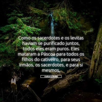 Picture 05 - Esdras 6:20 BSL - Como os sacerdotes e os levitas haviam se - Bible Verse Picture