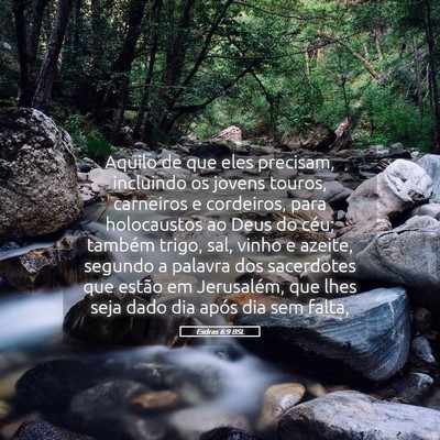 Picture 05 - Esdras 6:9 BSL - Aquilo de que eles precisam, incluindo os jovens - Bible Verse Picture