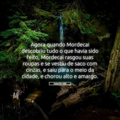 Picture 05 - Ester 4:1 BSL - Agora quando Mordecai descobriu tudo o que havia - Bible Verse Picture