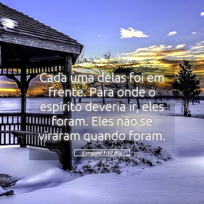 Picture 05 - Ezequiel 1:12 BSL - Cada uma delas foi em frente. Para onde o - Bible Verse Picture