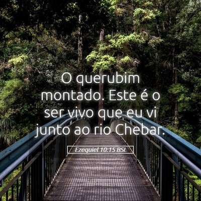 Picture 05 - Ezequiel 10:15 BSL - O querubim montado. Este é o ser vivo que eu vi - Bible Verse Picture