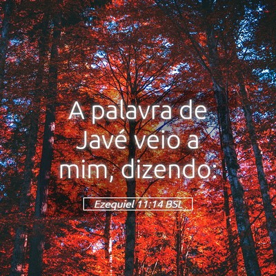Picture 05 - Ezequiel 11:14 BSL - A palavra de Javé veio a mim, - Bible Verse Picture