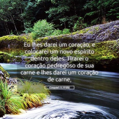 Picture 05 - Ezequiel 11:19 BSL - Eu lhes darei um coração, e colocarei um novo - Bible Verse Picture