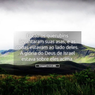Picture 05 - Ezequiel 11:22 BSL - Então os querubins levantaram suas asas, e as - Bible Verse Picture