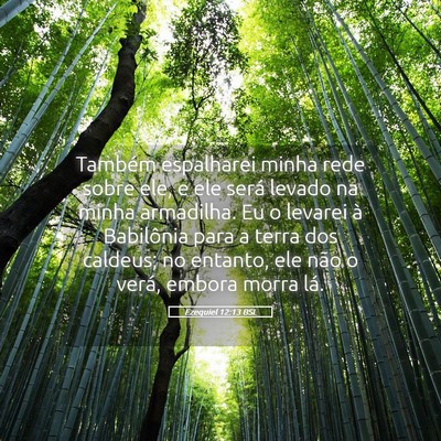 Picture 05 - Ezequiel 12:13 BSL - Também espalharei minha rede sobre ele, e ele - Bible Verse Picture