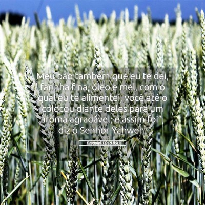 Picture 05 - Ezequiel 16:19 BSL - Meu pão também que eu te dei, farinha fina, - Bible Verse Picture