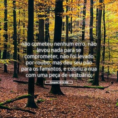 Picture 05 - Ezequiel 18:16 BSL - não cometeu nenhum erro, não levou nada para se - Bible Verse Picture