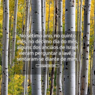 Picture 05 - Ezequiel 20:1 BSL - No sétimo ano, no quinto mês, no décimo dia do - Bible Verse Picture