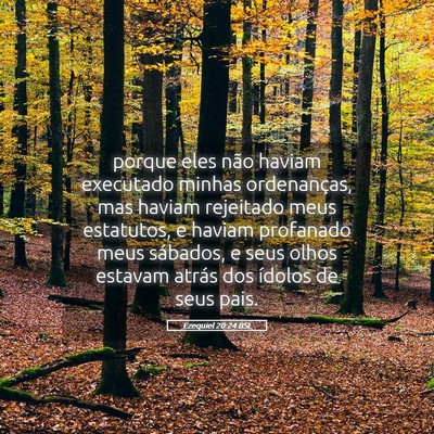 Picture 05 - Ezequiel 20:24 BSL - porque eles não haviam executado minhas - Bible Verse Picture