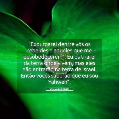Picture 05 - Ezequiel 20:38 BSL - “Expurgarei dentre vós os rebeldes e aqueles - Bible Verse Picture