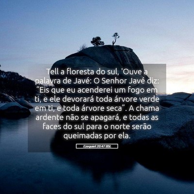 Picture 05 - Ezequiel 20:47 BSL - Tell a floresta do sul, 'Ouve a palavra de Javé: - Bible Verse Picture