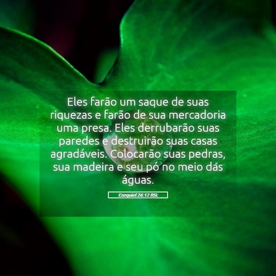 Picture 05 - Ezequiel 26:12 BSL - Eles farão um saque de suas riquezas e farão de - Bible Verse Picture
