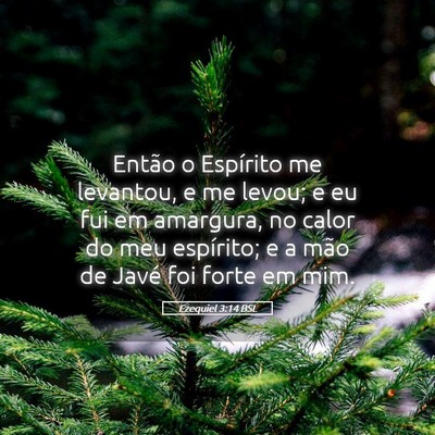 Picture 05 - Ezequiel 3:14 BSL - Então o Espírito me levantou, e me levou; e eu - Bible Verse Picture