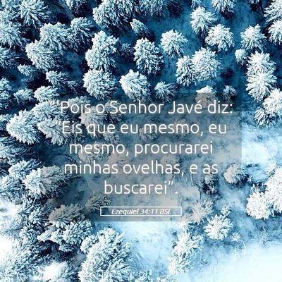Picture 05 - Ezequiel 34:11 BSL - “'Pois o Senhor Javé diz: “Eis que eu mesmo, - Bible Verse Picture