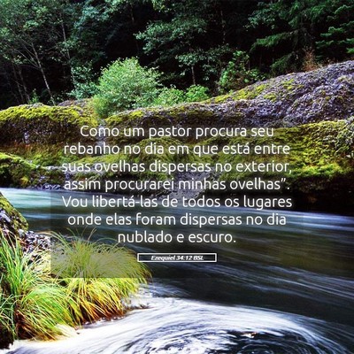 Picture 05 - Ezequiel 34:12 BSL - Como um pastor procura seu rebanho no dia em que - Bible Verse Picture