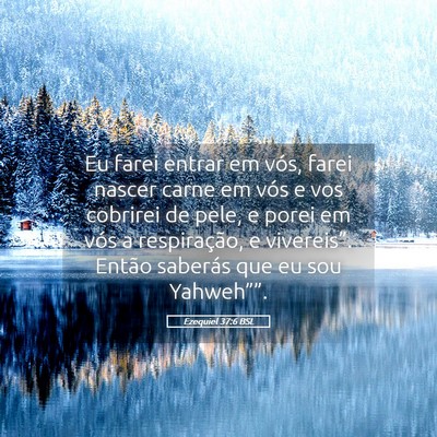 Picture 05 - Ezequiel 37:6 BSL - Eu farei entrar em vós, farei nascer carne em - Bible Verse Picture