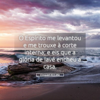 Picture 05 - Ezequiel 43:5 BSL - O Espírito me levantou e me trouxe à corte - Bible Verse Picture