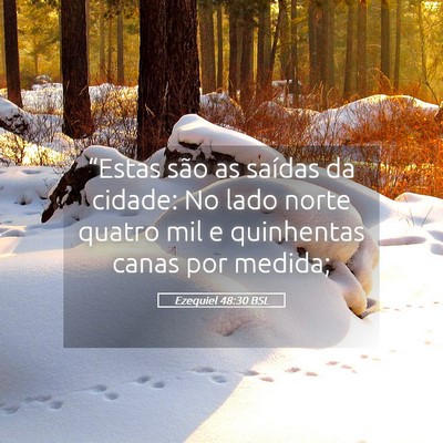 Picture 05 - Ezequiel 48:30 BSL - “Estas são as saídas da cidade: No lado norte - Bible Verse Picture