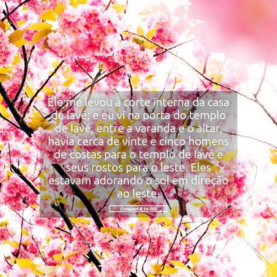 Picture 05 - Ezequiel 8:16 BSL - Ele me levou à corte interna da casa de Iavé; e - Bible Verse Picture