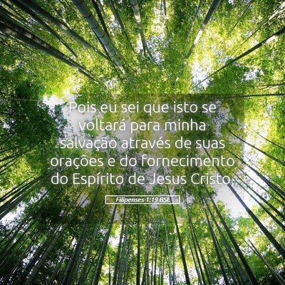 Picture 05 - Filipenses 1:19 BSL - Pois eu sei que isto se voltará para minha - Bible Verse Picture