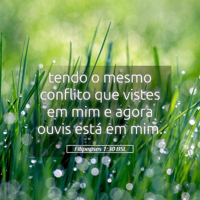 Picture 05 - Filipenses 1:30 BSL - tendo o mesmo conflito que vistes em mim e agora - Bible Verse Picture