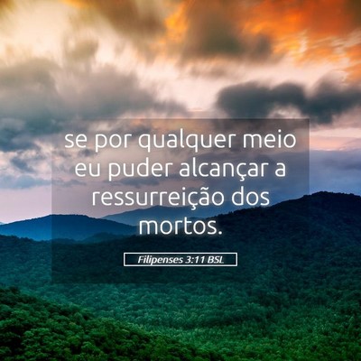 Picture 05 - Filipenses 3:11 BSL - se por qualquer meio eu puder alcançar a - Bible Verse Picture