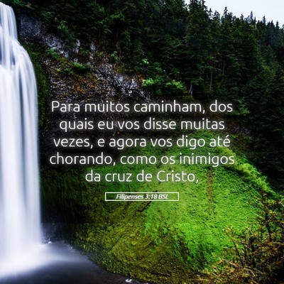 Picture 05 - Filipenses 3:18 BSL - Para muitos caminham, dos quais eu vos disse - Bible Verse Picture