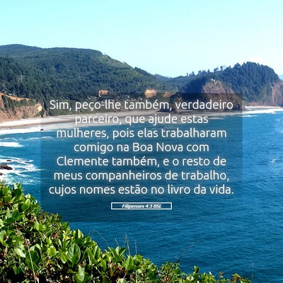 Picture 05 - Filipenses 4:3 BSL - Sim, peço-lhe também, verdadeiro parceiro, que - Bible Verse Picture