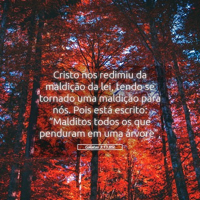 Picture 05 - Gálatas 3:13 BSL - Cristo nos redimiu da maldição da lei, tendo se - Bible Verse Picture