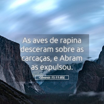 Picture 05 - Gênesis 15:11 BSL - As aves de rapina desceram sobre as carcaças, e - Bible Verse Picture