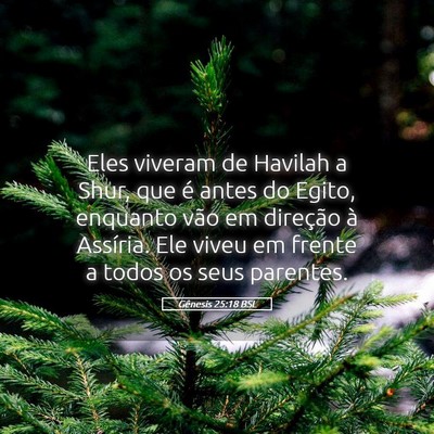 Picture 05 - Gênesis 25:18 BSL - Eles viveram de Havilah a Shur, que é antes do - Bible Verse Picture