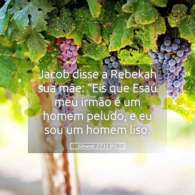 Picture 05 - Gênesis 27:11 BSL - Jacob disse a Rebekah sua mãe: “Eis que Esaú - Bible Verse Picture