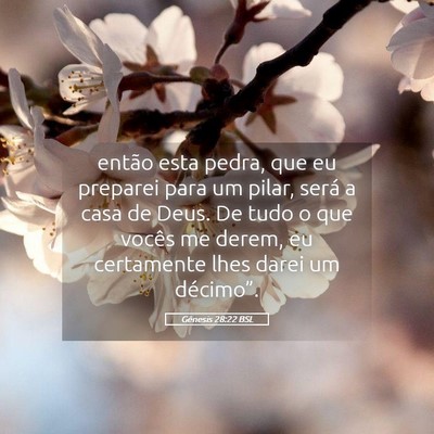 Picture 05 - Gênesis 28:22 BSL - então esta pedra, que eu preparei para um pilar, - Bible Verse Picture