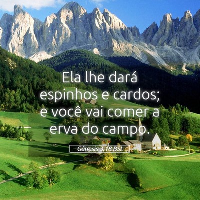 Picture 05 - Gênesis 3:18 BSL - Ela lhe dará espinhos e cardos; e você vai - Bible Verse Picture