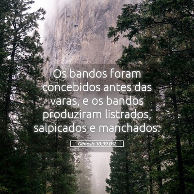 Picture 05 - Gênesis 30:39 BSL - Os bandos foram concebidos antes das varas, e os - Bible Verse Picture
