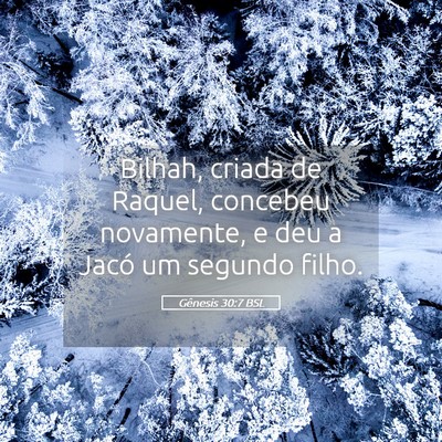 Picture 05 - Gênesis 30:7 BSL - Bilhah, criada de Raquel, concebeu novamente, e - Bible Verse Picture
